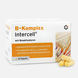 60 Kapseln Vitamin B-Komplex Intercell
