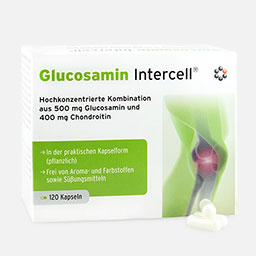 120 Kapseln Glucosamin