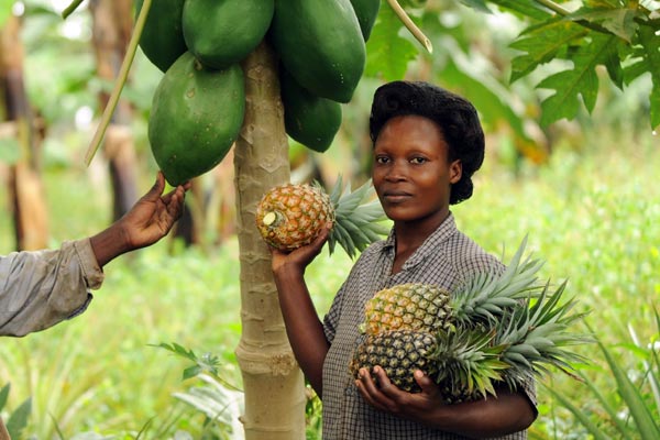 Ananas und Papaya