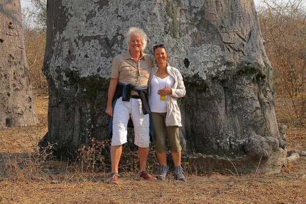 Baobab – Affenbrotbaum – Der Lebensbaum