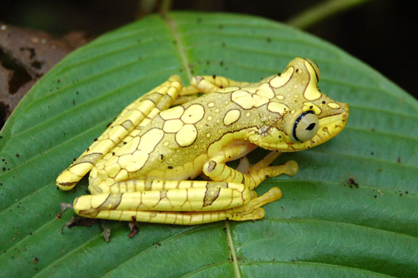 Esmeraldas, Ecuador