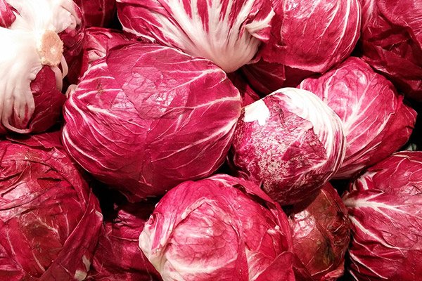 Radicchio