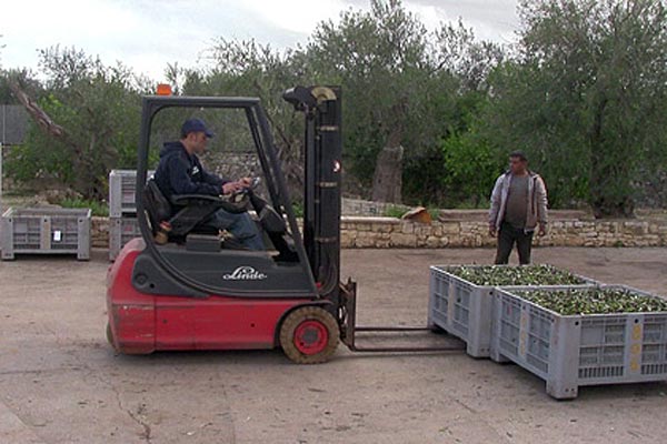 Verladen und wiegen